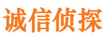 新县寻人公司